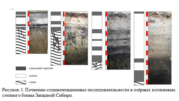 Реконструкция условий динамики среды и климата в голоцене на основе изучения почвенно-седиментационных последовательностей озёрных котловин степного биома Западной Сибири